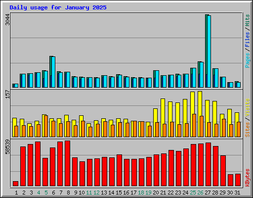 Daily usage for January 2025
