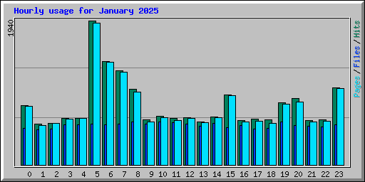 Hourly usage for January 2025