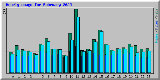 Hourly usage for February 2025