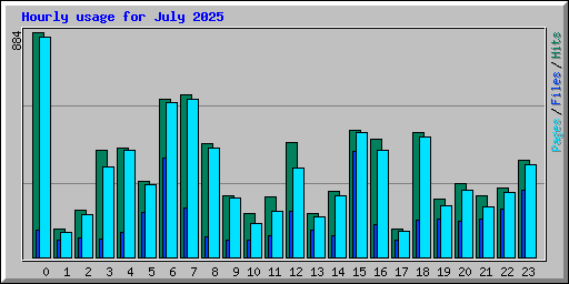 Hourly usage for July 2025