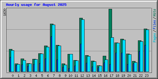 Hourly usage for August 2025