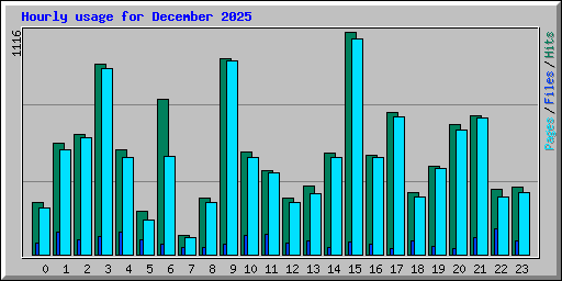 Hourly usage for December 2025